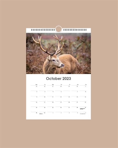 2023 British Wildlife Calendar — Mark Chambers Photography