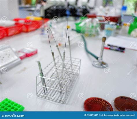 Inoculating loop stock image. Image of technique, inoculating - 158135893