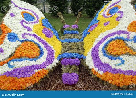 Butterfly, Flower Arrangement Stock Photo - Image of beauty, autumn ...