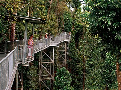 Location Cairns - Rainforest + jungle tracks | Cairns Regional Council