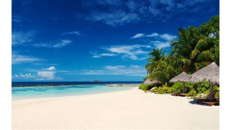 Download Caribbean Beach Wallpaper - Lock Screen Wallpaper Windows 10 ...