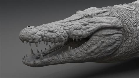 Crocodile sculpting time lapse, Zbrush tutorial / Скульптинг крокодила ...