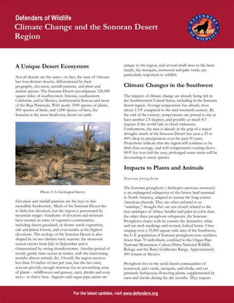 Climate Change and the Sonoran Desert Region