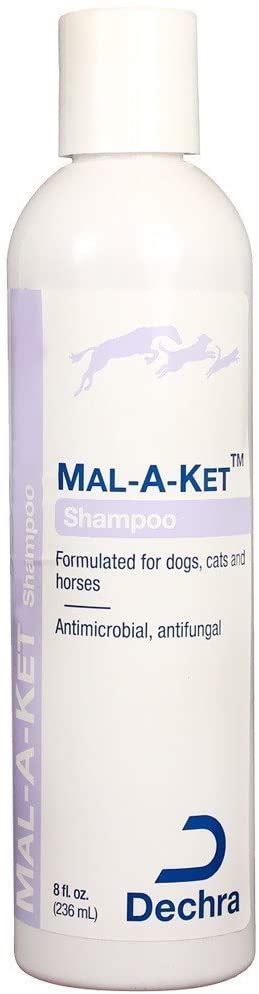 The Best Antifungal Dog Shampoo: Our 7 Top Picks Reviewed ...