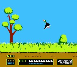 Duck hunting games com - lasopafitness