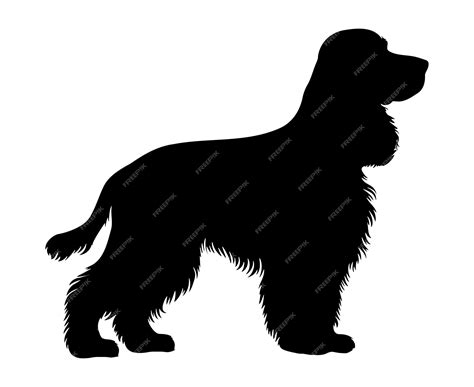 Premium Vector | Cocker spaniel Dog silhouette Vector illustration