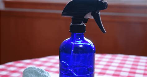 Natural Disinfectant Spray - Retro Housewife Goes Green