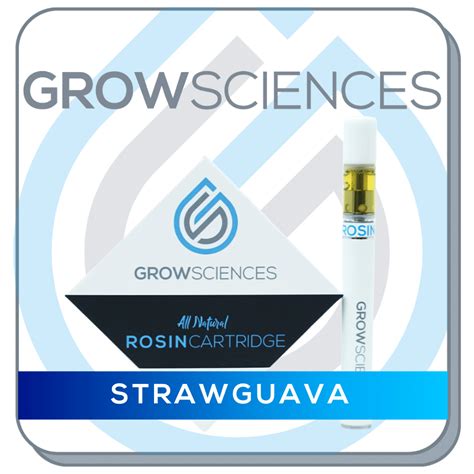 Guava Jelly x SSC [600mg] | Grow Sciences | Live Hash Rosin Cartridge - Jane