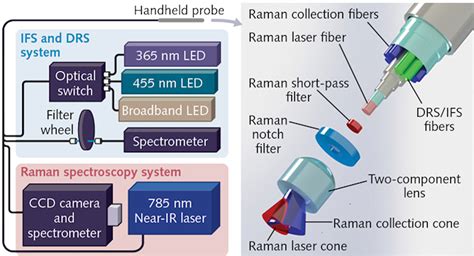 Raman Spectroscopy: Spectroscopy system outperforms MRI for invasive cancer detection | Laser ...