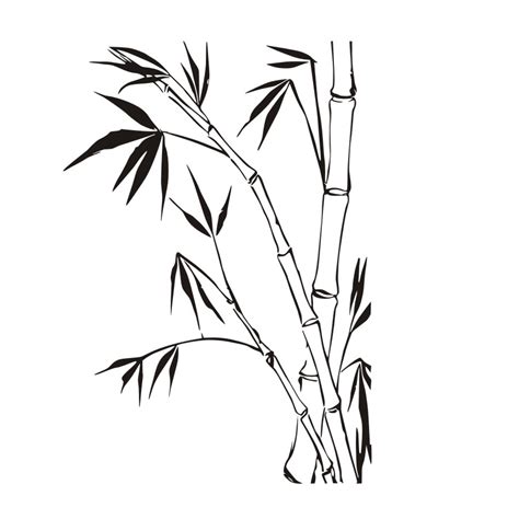 Bamboo Drawing | Free download on ClipArtMag