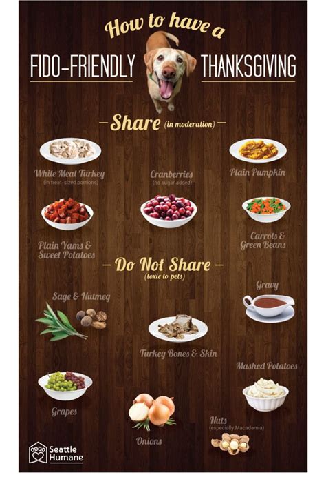 How to Have a Fido-Friendly Thanksgiving | Carrots and green beans, Dog food recipes, Homeade ...