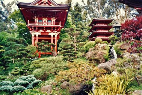 Golden Gate Park ~ Japanese Tea Garden, Museums, Something for Everyone! | HubPages