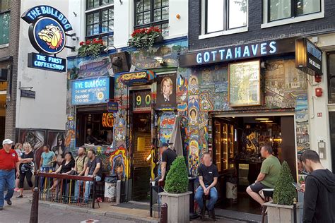 10 Best Coffeeshops in Amsterdam - Where to Experience Amsterdam's Cannabis Culture - Go Guides