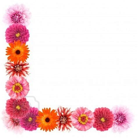 Flowers Borders Clipart High Resolution Background Flower Border | Porn ...