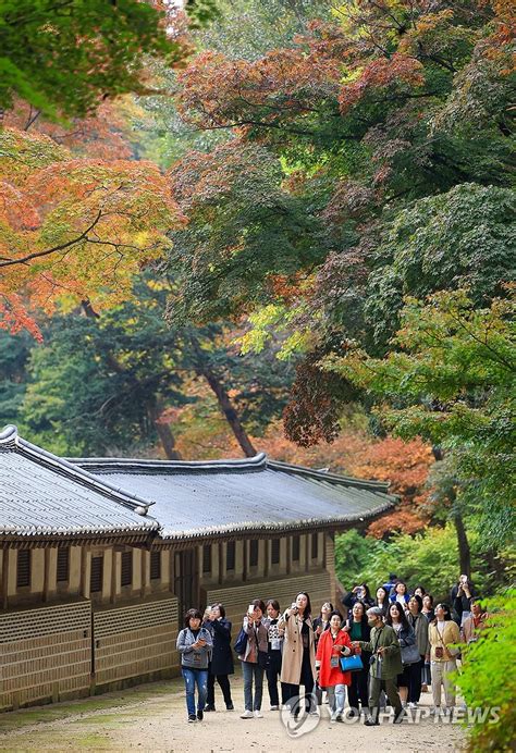 Autumn in Changdeok Palace | Yonhap News Agency