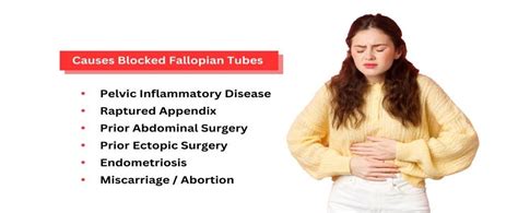 Blocked Fallopian Tubes: Causes, Symptoms, and Treatment