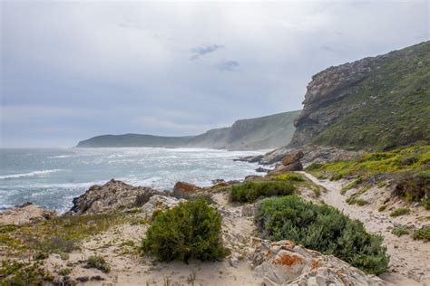 Robberg Nature Reserve (CapeNature) « Robberg Nature Reserve - Hikes, walks seals, wildlife at ...