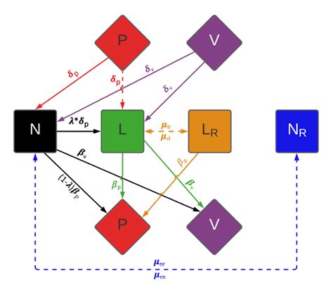 Model of the population and evolutionary dynamics of temperate and ...