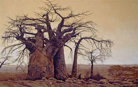 Baobab Trees by https://www.deviantart.com/willemsvdmerwe on ...