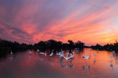 Best Beaches near Narbonne, France - France Travel Blog