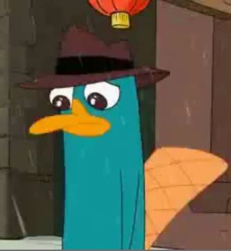 Image - Sad Perry.PNG - Phineas and Ferb Wiki - Your Guide to Phineas and Ferb