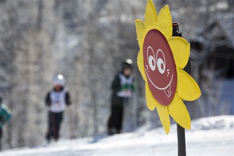 Half-Day Skiing With Instructor In Vogel Ski Center