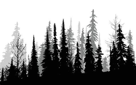 black and white silhouettes of pine trees