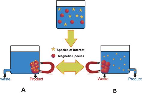 Examples of the use of magnetic separation. | Download Scientific Diagram