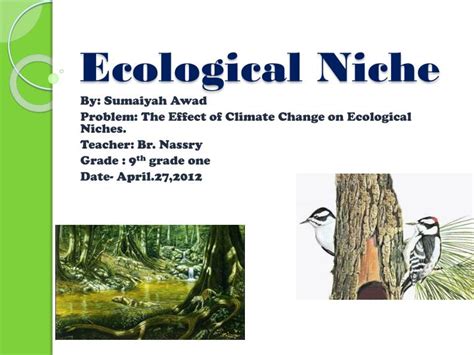 PPT - Ecological Niche PowerPoint Presentation - ID:3826092