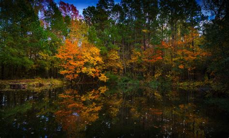 Pond in Grapeland Texas, USA