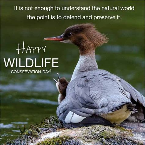 Happy world wildlife conservation day quotes 2020, images, poster, slogan | Wildlife ...