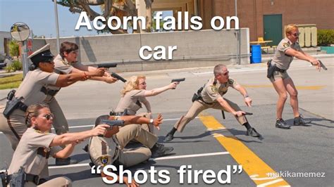 Assault acorn | /r/memes | Florida Acorn Cop Shooting | Know Your Meme