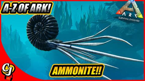 A-Z Of Ark! The AMMONITE And Why You Need To Kill This Sucker!! || Ark Survival Evolved! - YouTube