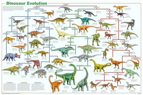 Buy Dinosaur Evolution Educational Science Chart 36 x 24in by Revolution Online at desertcartINDIA