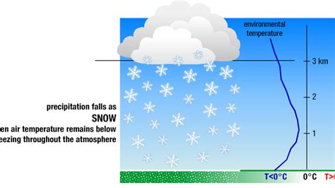 Michigan snow: How does snow form and where did it come from? | FOX 2 Detroit