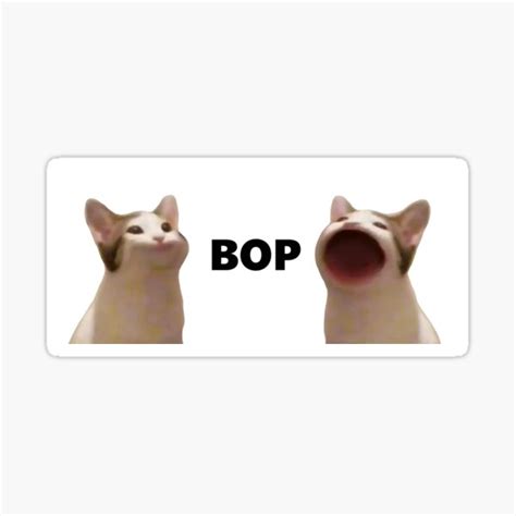 "pop popping cat meme" Sticker for Sale by wilnonis | Redbubble