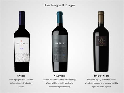 Mastering Mendoza Malbec | Wine Folly