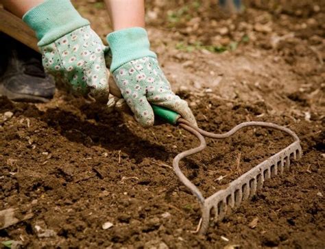 Learn When Tilling Soil is Right | Bonnie Plants