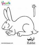 Free Arabic Alphabet Coloring Pages For Kindergarten ⋆ Belarabyapps sketch template