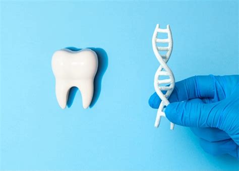 Let's Talk Teeth: Does Genetics Affect Oral Health? - Kildonan Crossing ...