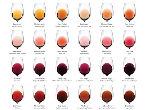 Complete Wine Color Chart (Download) | Wine Folly