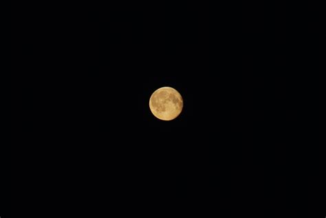 Moon Free Photo Download | FreeImages