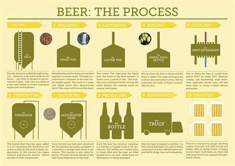 beer-the-process | Beer brewing, Beer, Brewing