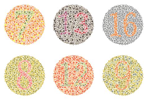 Color Blindness: A Comprehensive Guide | MyVision.org