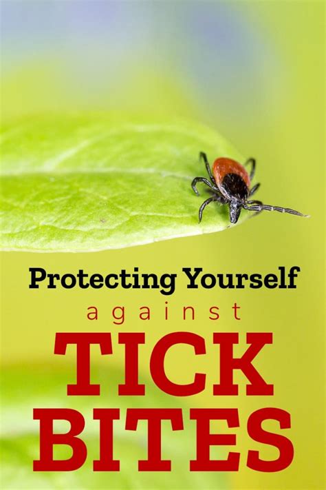 Protecting Yourself Against Tick Bites - Trailer Parks Canada