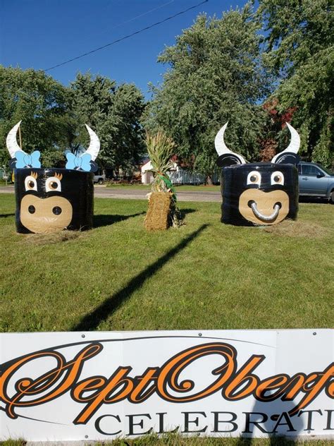 Halloween Hay Bale, Halloween Yard Art, Fall Halloween, Halloween ...