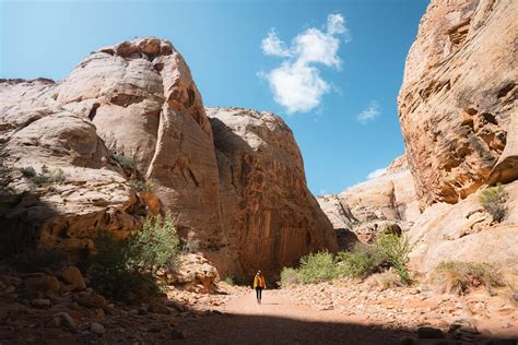 Hiking - Renee Roaming