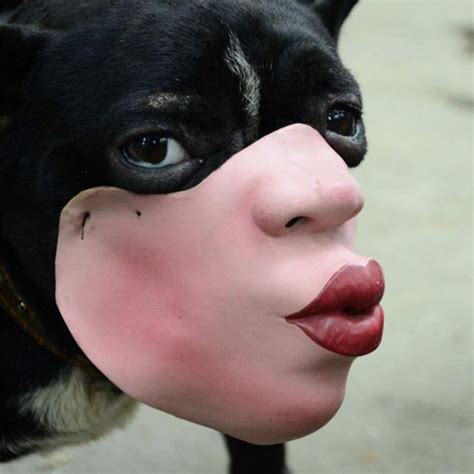 Amazon Is Selling Dog Muzzles That Look Like Human Faces And They’re ...