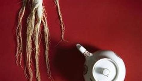 Ginseng Plants | Garden Guides