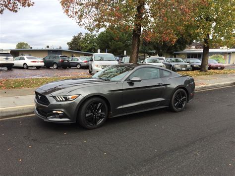 2015 Mustang Magnetic Metallic. | 2015 mustang, Mustang, Mustang cobra